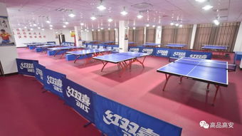 高安 两宫两馆 内部图片曝光,太高大上了