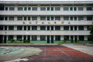 人民路将改造 车道拓宽,交叉口调整,机非隔离 计划11月开工