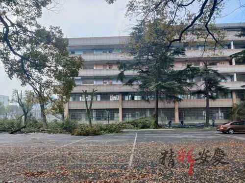 安庆青少年宫地块,正在拆除 附现场图