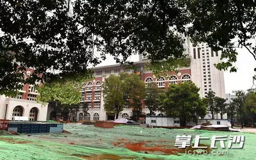 易炼红 把长沙市青少年宫打造成广大青少年健康成长的乐园