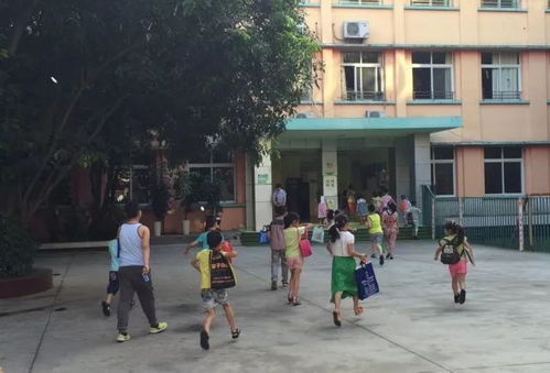 大奖5000元 龙泉驿区青少年宫logo征集开始啦