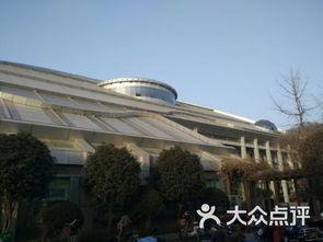 青少年宫新概念外语国际教育中心课程 价格 简介 怎么样 郑州学习培训