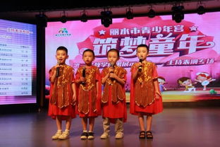 丽水市青少年宫第三届教学成果展示