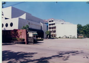 光阴的故事,从背包去青少年宫开始